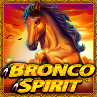 Bronco Spirit™